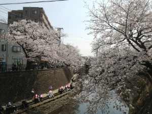 IMG_20210327_121713