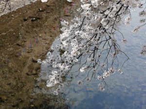 IMG_20210327_121730