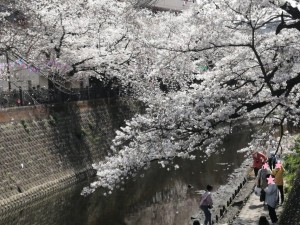 IMG_20210327_121818