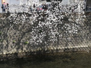 IMG_20210327_121916