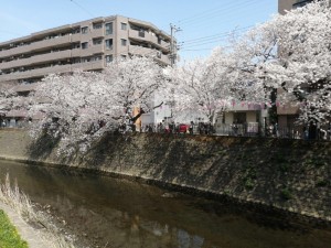 IMG_20210327_121955