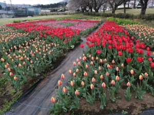 IMG_20210328_090513