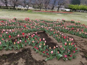 IMG_20210328_090609