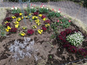 IMG_20210328_090713