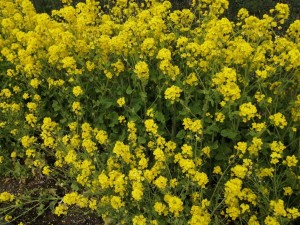 IMG_20210328_090804