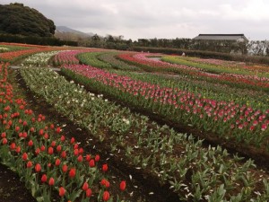 IMG_20210328_090815