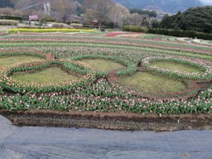 IMG_20210328_091014