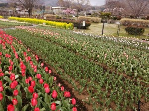 IMG_20210328_091543