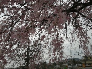 IMG_20210328_092109