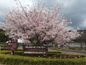 IMG_20210328_092207