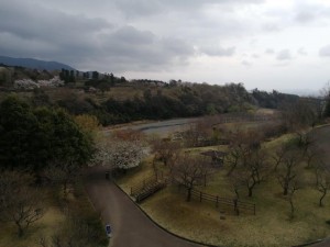 IMG_20210328_092405