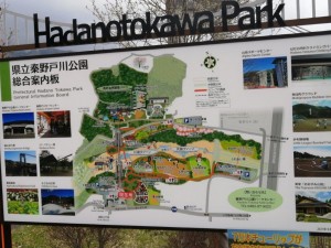 IMG_20210328_092818