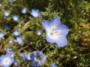 IMG_20210415_100536