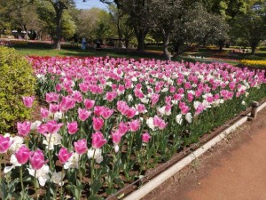 IMG_20210415_100858
