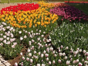 IMG_20210415_101018