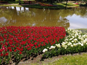 IMG_20210415_101236