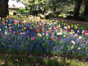IMG_20210415_101345