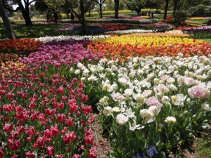 IMG_20210415_101618