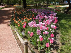 IMG_20210415_101653