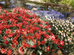 IMG_20210415_101756