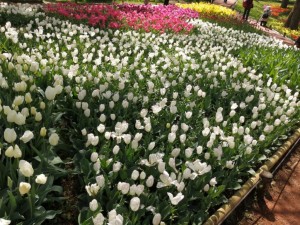 IMG_20210415_101808