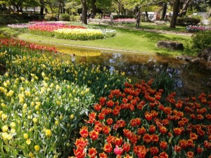 IMG_20210415_101824
