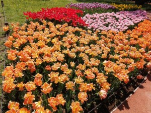 IMG_20210415_101953