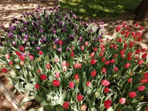 IMG_20210415_102052