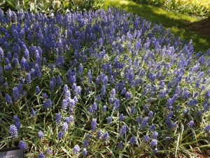 IMG_20210415_102108