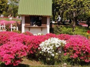 IMG_20210415_102635