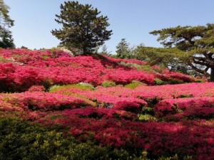 IMG_20210418_094622