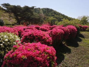 IMG_20210418_094637