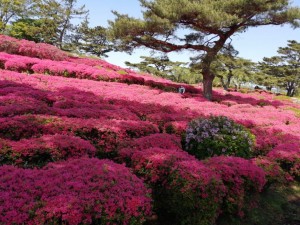 IMG_20210418_095147