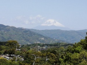 IMG_20210418_095437