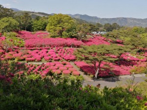 IMG_20210418_095454