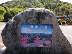 IMG_20210418_095918_1