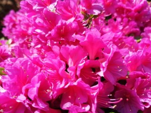 IMG_20210418_101025