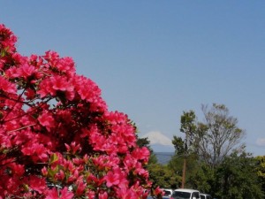 IMG_20210418_101306