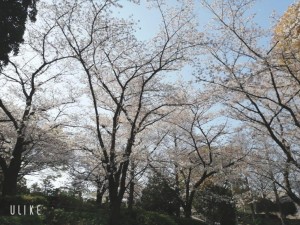 beauty_20210327081642