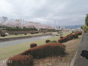 beauty_20210328082131
