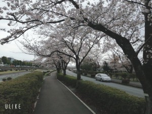 beauty_20210328082800