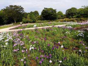 IMG_20210530_082530