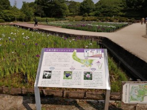 IMG_20210530_082920