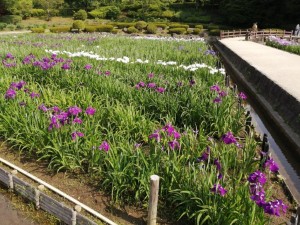 IMG_20210530_082952