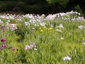 IMG_20210530_083157
