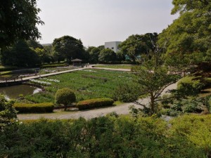 IMG_20210530_083659