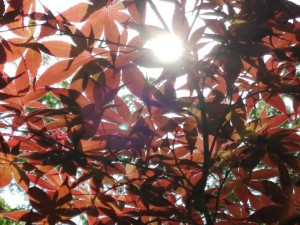 IMG_20210530_084810