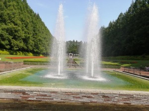 IMG_20210530_085756