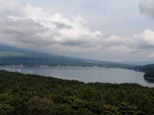 IMG_20210626_082854