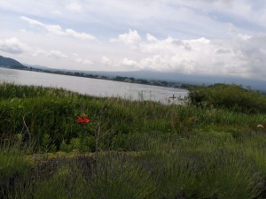 IMG_20210626_093513